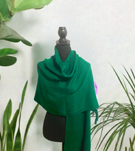 Load image into Gallery viewer, Mexican Rebozo/Shawl - Green